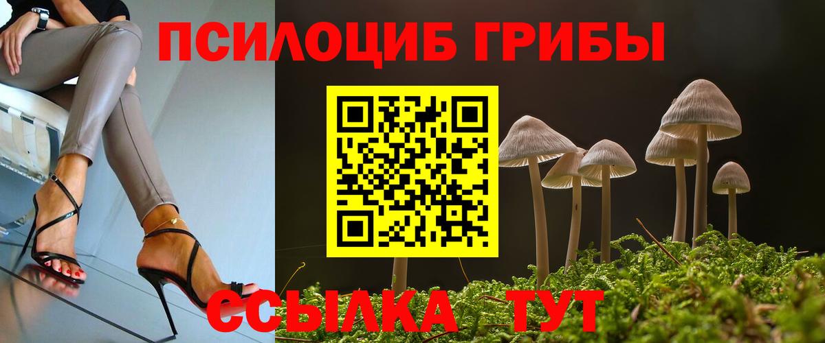Карпинск  Галлюциногенные грибы мицелий  Вход с VPN 